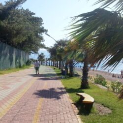 icmeler marmaris 72 - Icmeler Marmaris Official Website
