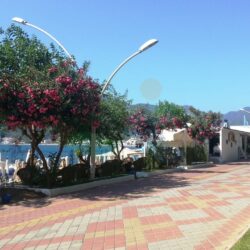 icmeler marmaris 77 - Icmeler Marmaris Official Website