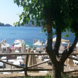 icmeler marmaris 81 - Icmeler Marmaris Official Website
